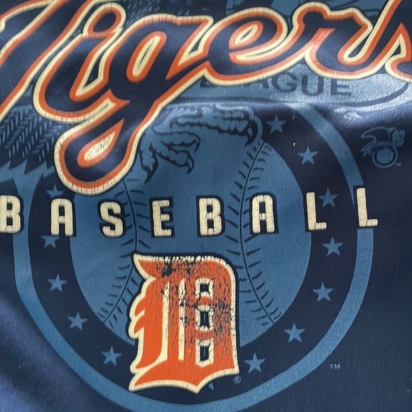 MLB Detroit Tigers Baseball Authentic Apparel Fleece‎ Lined Hoodie - Picture 6 of 6